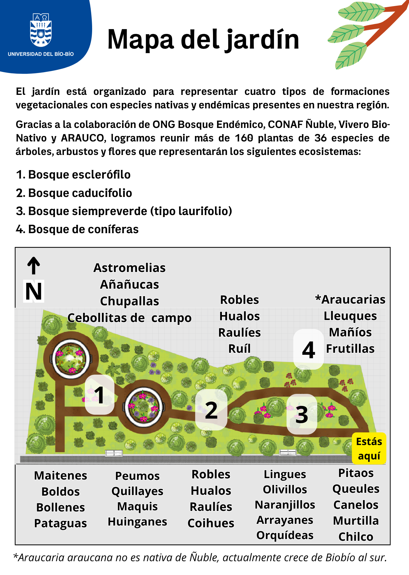 Mapa del jardín (5)